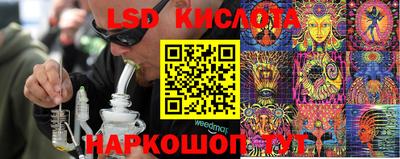 крисы Михайловск