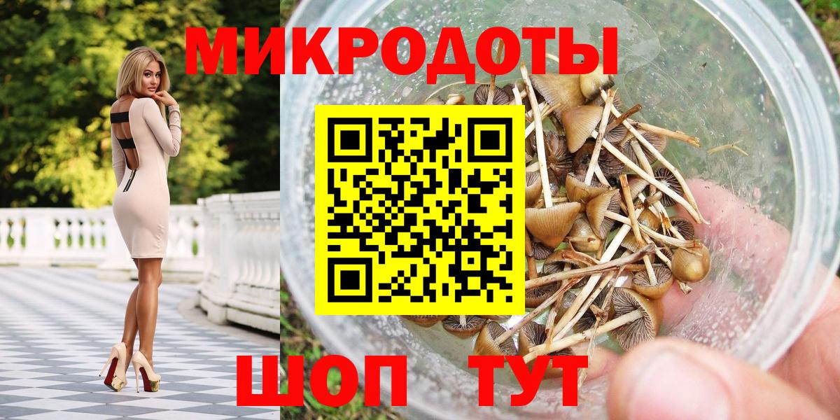 Кизляр  Псилоцибиновые грибы MAGIC MUSHROOMS  Вход с VPN 